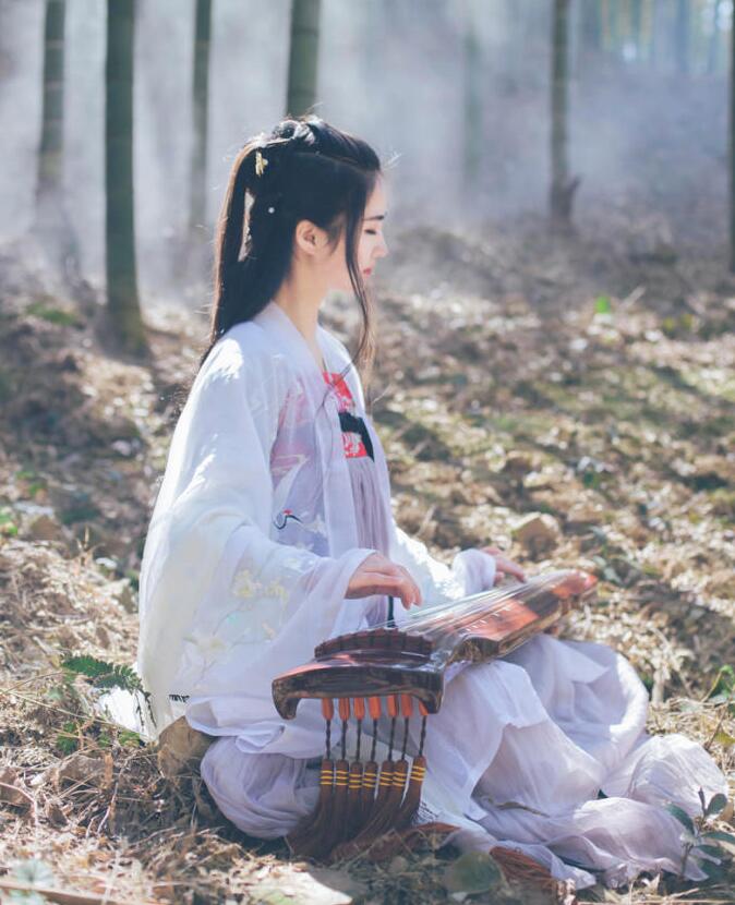 魏晉風(fēng)女裝繡花大袖衫，復(fù)古家佳樂文學(xué)漢服圖片