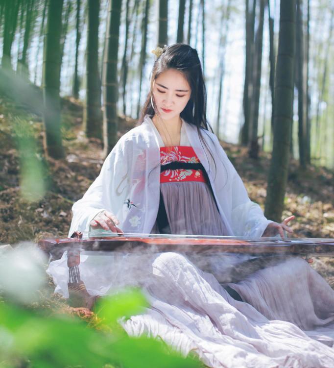 魏晉風(fēng)女裝繡花大袖衫，復(fù)古家佳樂文學(xué)漢服圖片