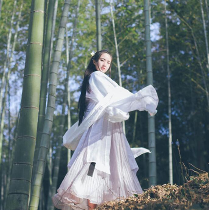 魏晉風(fēng)女裝繡花大袖衫，復(fù)古家佳樂文學(xué)漢服圖片