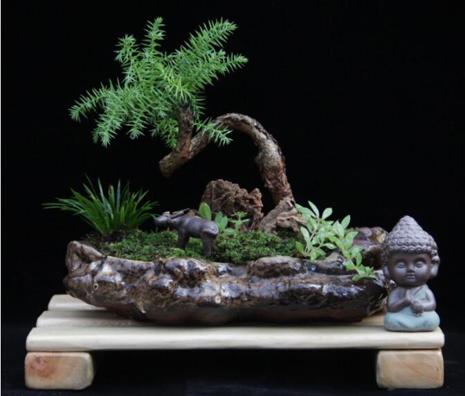 高檔水石藝術(shù)組合，綠植微景觀旱盆盆景