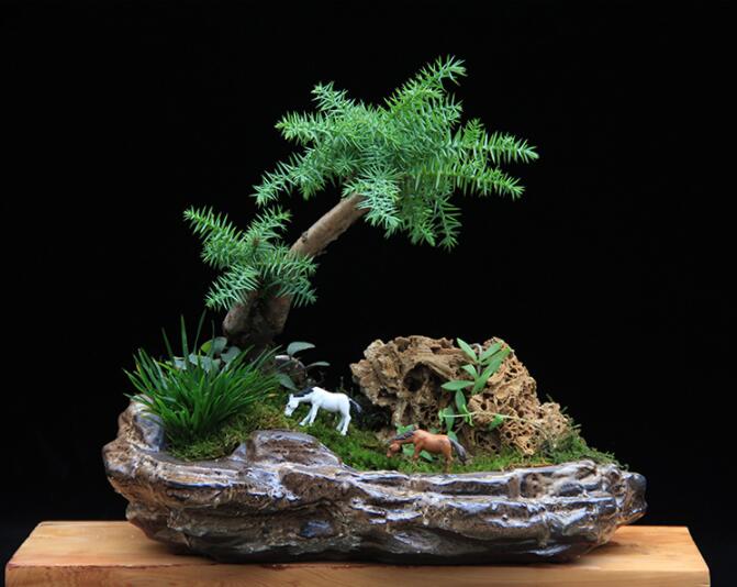 高檔水石藝術(shù)組合，綠植微景觀旱盆盆景