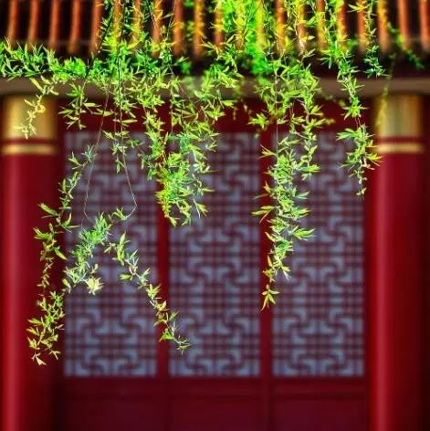 雄峙數(shù)千年的古建筑，歷史古建筑風情萬種！