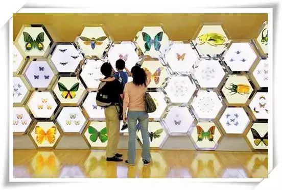 適合孩子的博物館推薦，探索世界奧秘！