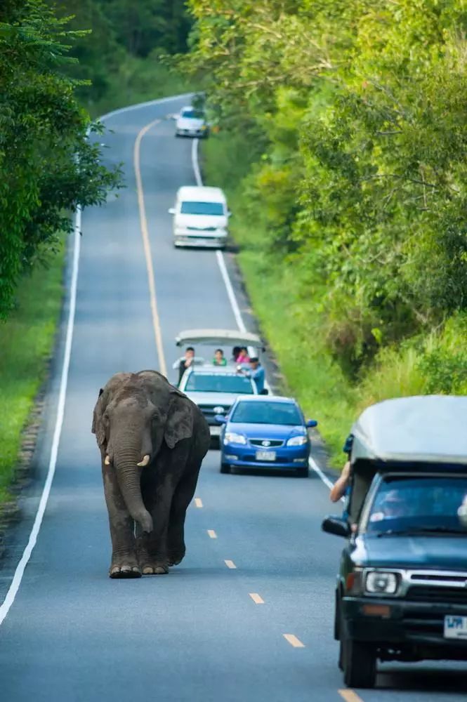 十條最適合自駕出游的家佳樂文學(xué)景公路，一路美景