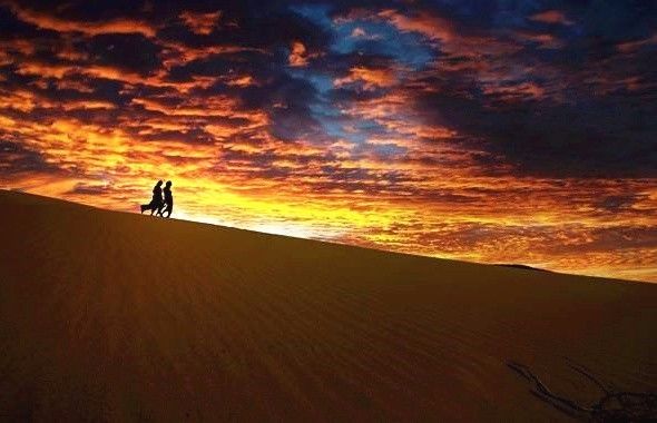 十條最適合自駕出游的家佳樂(lè)文學(xué)景公路，一路美景