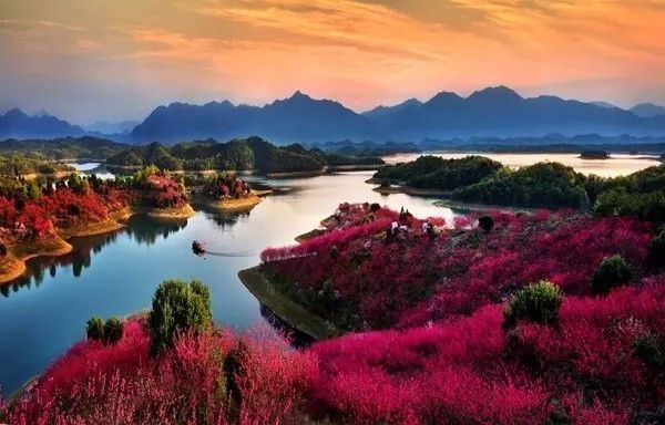 十條最適合自駕出游的家佳樂(lè)文學(xué)景公路，一路美景