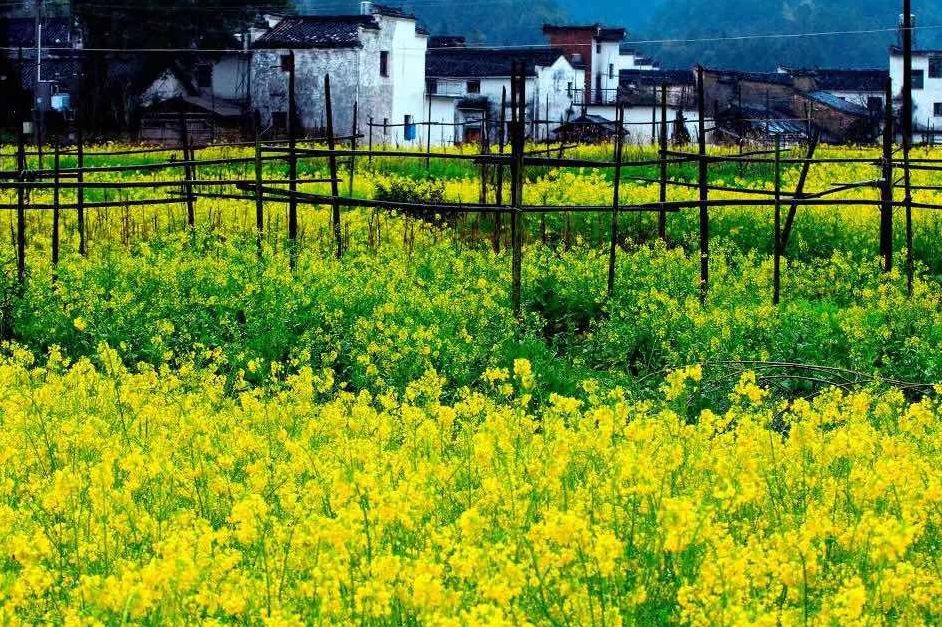 夢(mèng)回西江，南昌，廬山，婺源