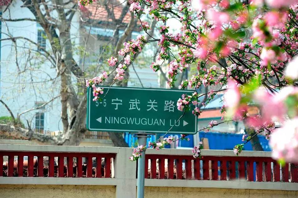 清明小長假，去這9個絕美的地方踏青