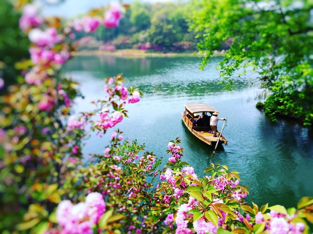 清明小長假，去這9個絕美的地方踏青