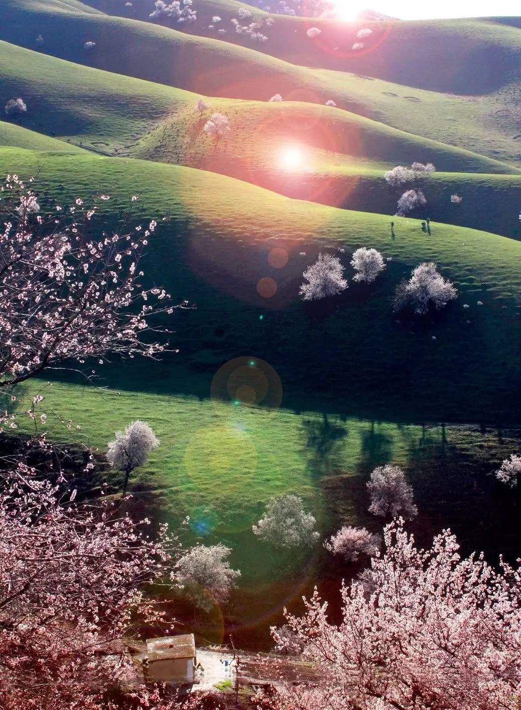 清明小長假，去這9個絕美的地方踏青