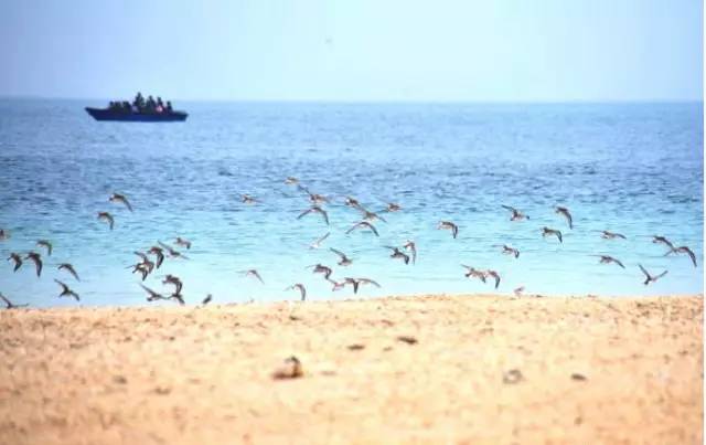 清明小長假，去這9個絕美的地方踏青