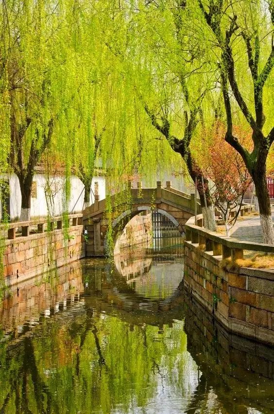 清明小長假，去這9個(gè)絕美的地方踏青