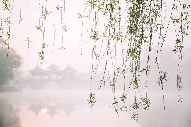 清明小長假，去這9個(gè)絕美的地方踏青