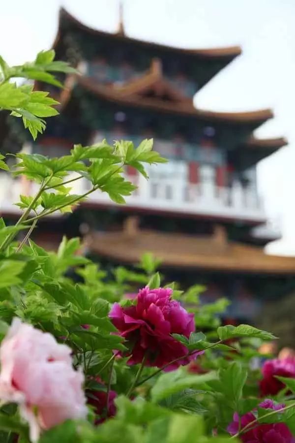 清明小長(zhǎng)假，去這9個(gè)絕美的地方踏青