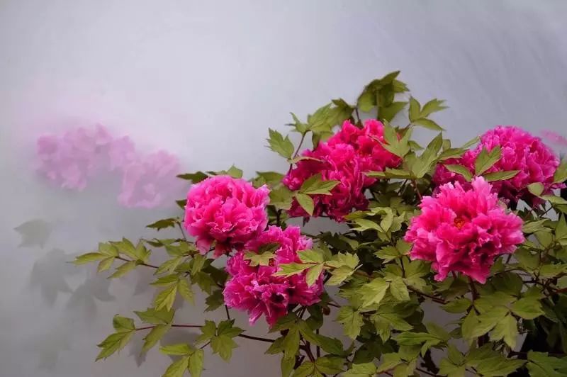 清明小長(zhǎng)假，去這9個(gè)絕美的地方踏青