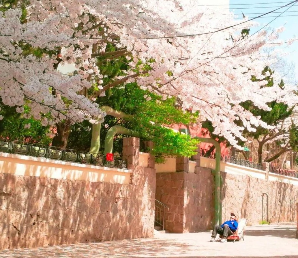 清明小長假，去這9個絕美的地方踏青