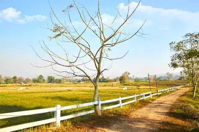 踏青尋色，春風(fēng)十里不如你