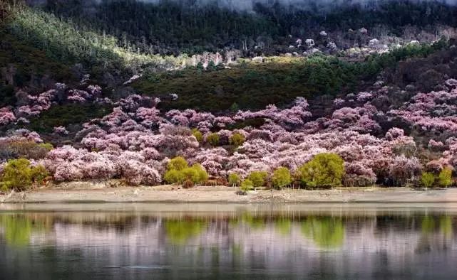 踏青尋色，春風(fēng)十里不如你