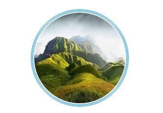 踏青尋色：春光無限好，只為等待一個你