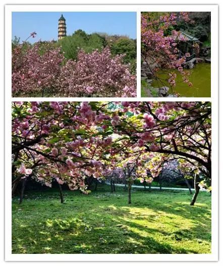 唯美風(fēng)景圖片，踏青游玩美翻天！