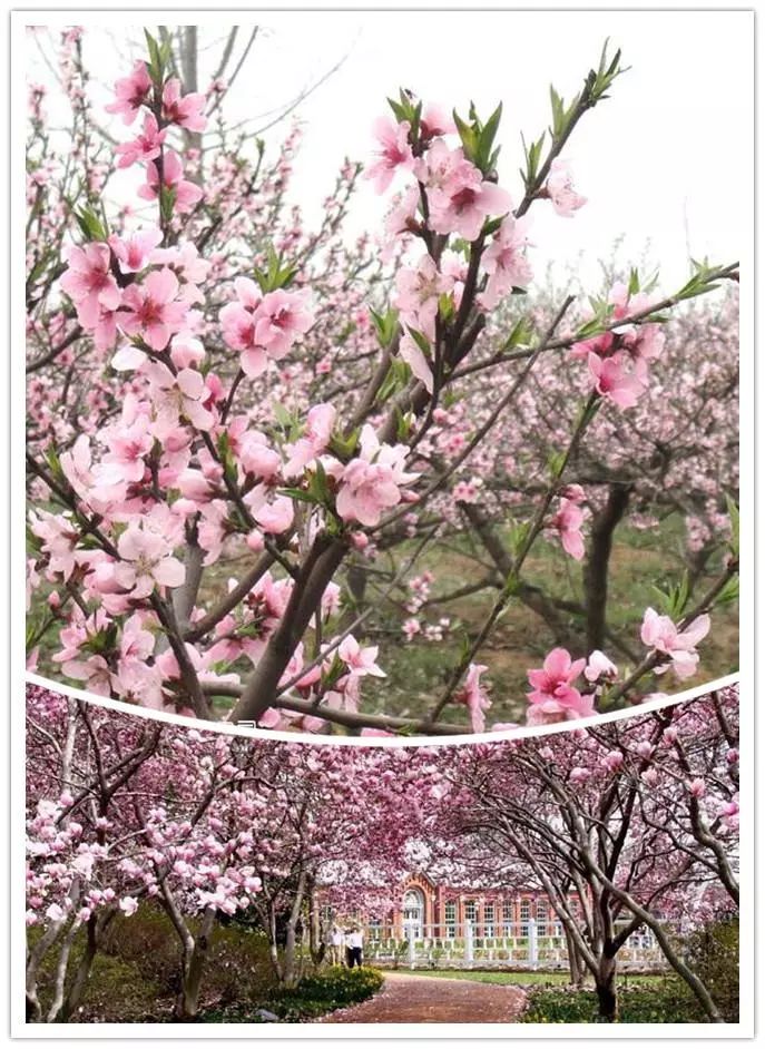 唯美風(fēng)景圖片，踏青游玩美翻天！