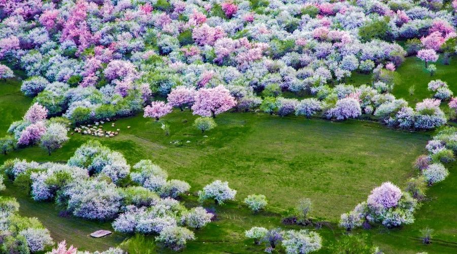 最美人間四月，詩(shī)情畫(huà)意不可錯(cuò)失的風(fēng)景推薦