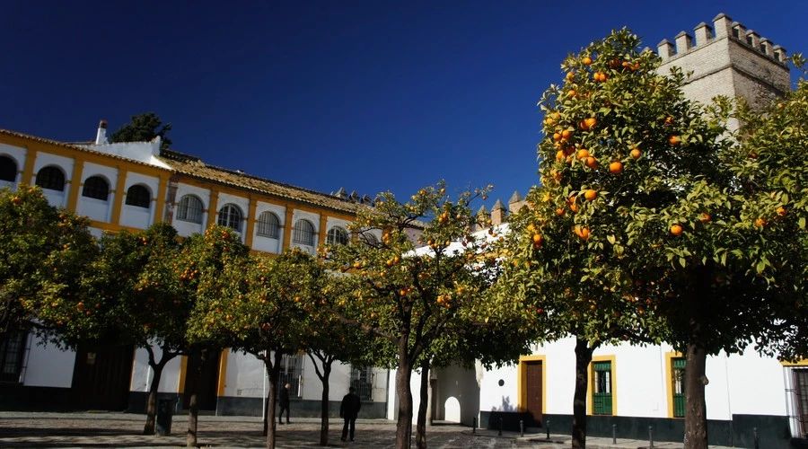 最美人間四月，詩情畫意不可錯失的風景推薦