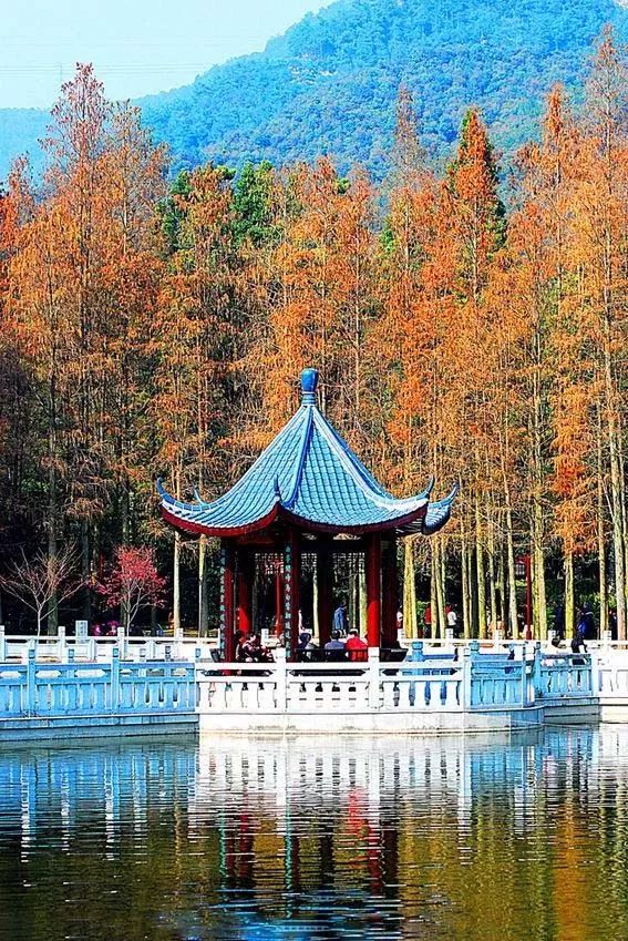 中國最美古建筑，你都認識嗎？