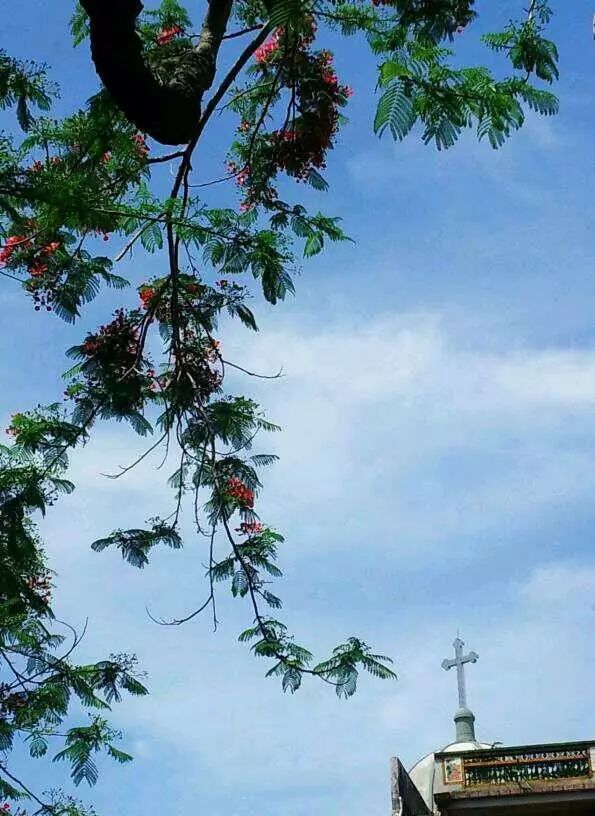 棉湖掠影， 古鎮(zhèn)情懷