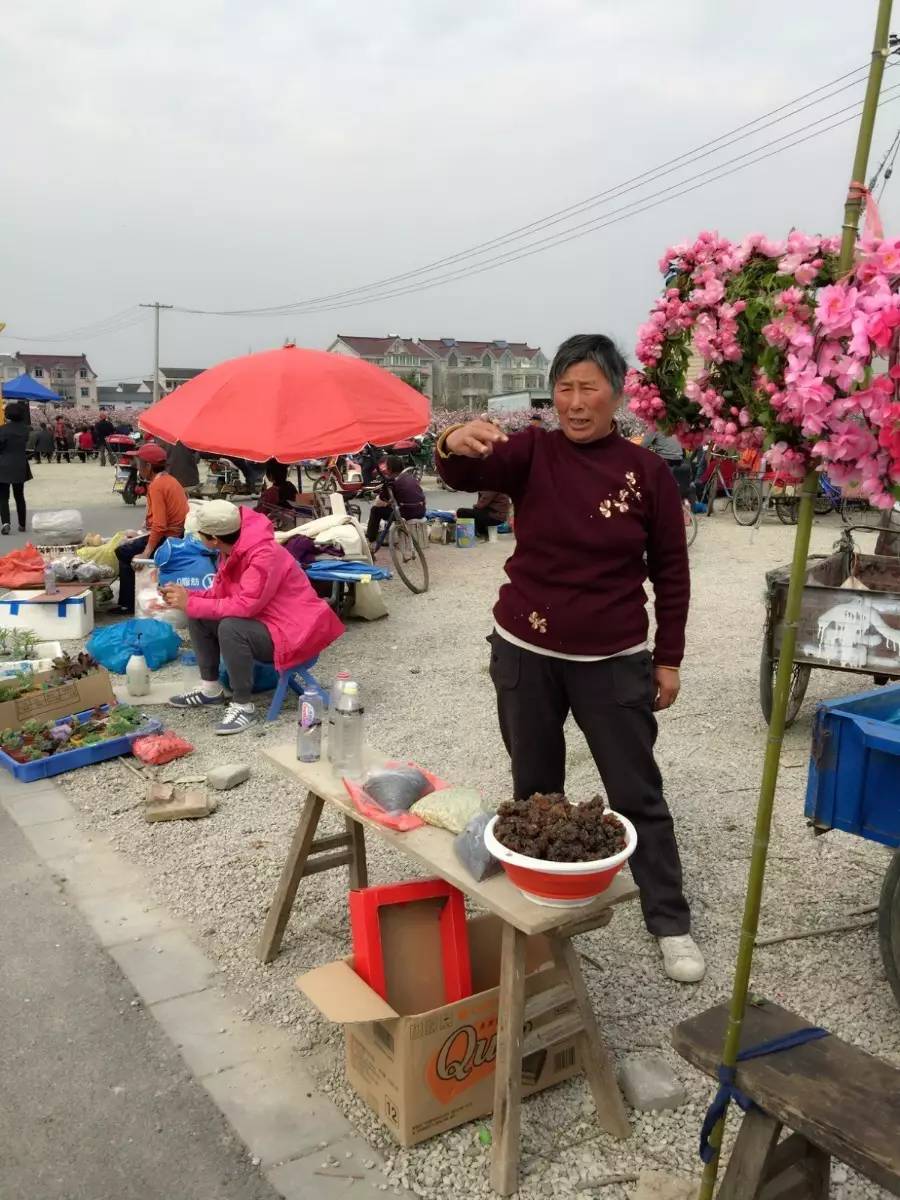 古鎮(zhèn)之外的新場，或許更有新意