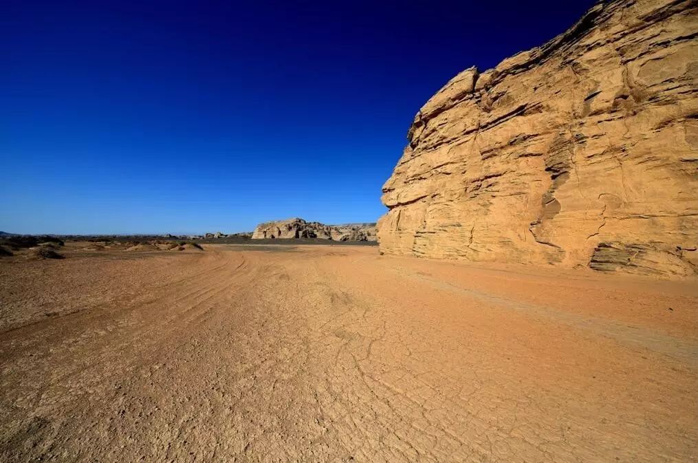 雕塑之魂：從干裂的土地上，尋找生命的意義