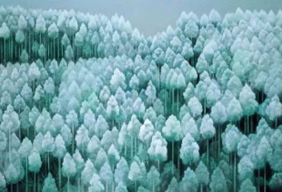 風(fēng)景即心境，東山魁夷筆下的四季