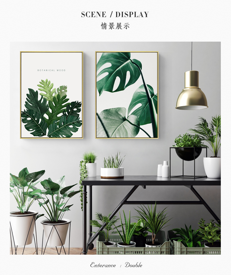 清新植物裝飾畫，簡約大氣客廳裝飾畫