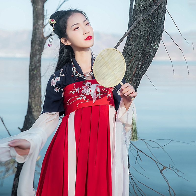 傳統(tǒng)雙袖刺繡漢服上衣，對襟半臂繡花漢服