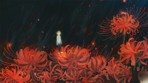 4款舞小仙的繪本插畫，不一樣的美！