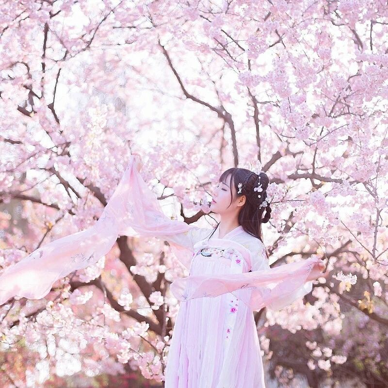傳統(tǒng)華夏粉色漢服，漢元素清新淡雅漢服圖片