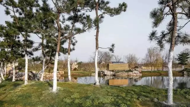 中式裝修，禪意茶室