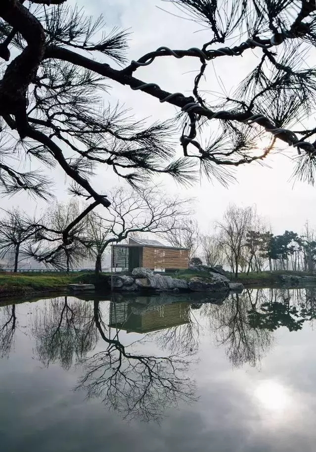 中式裝修，禪意茶室