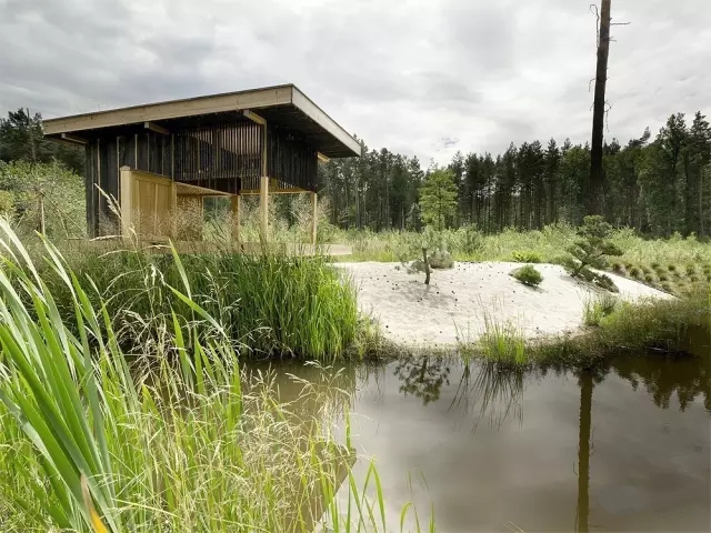 中式裝修，禪意茶室