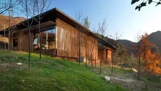 中式裝修，禪意茶室