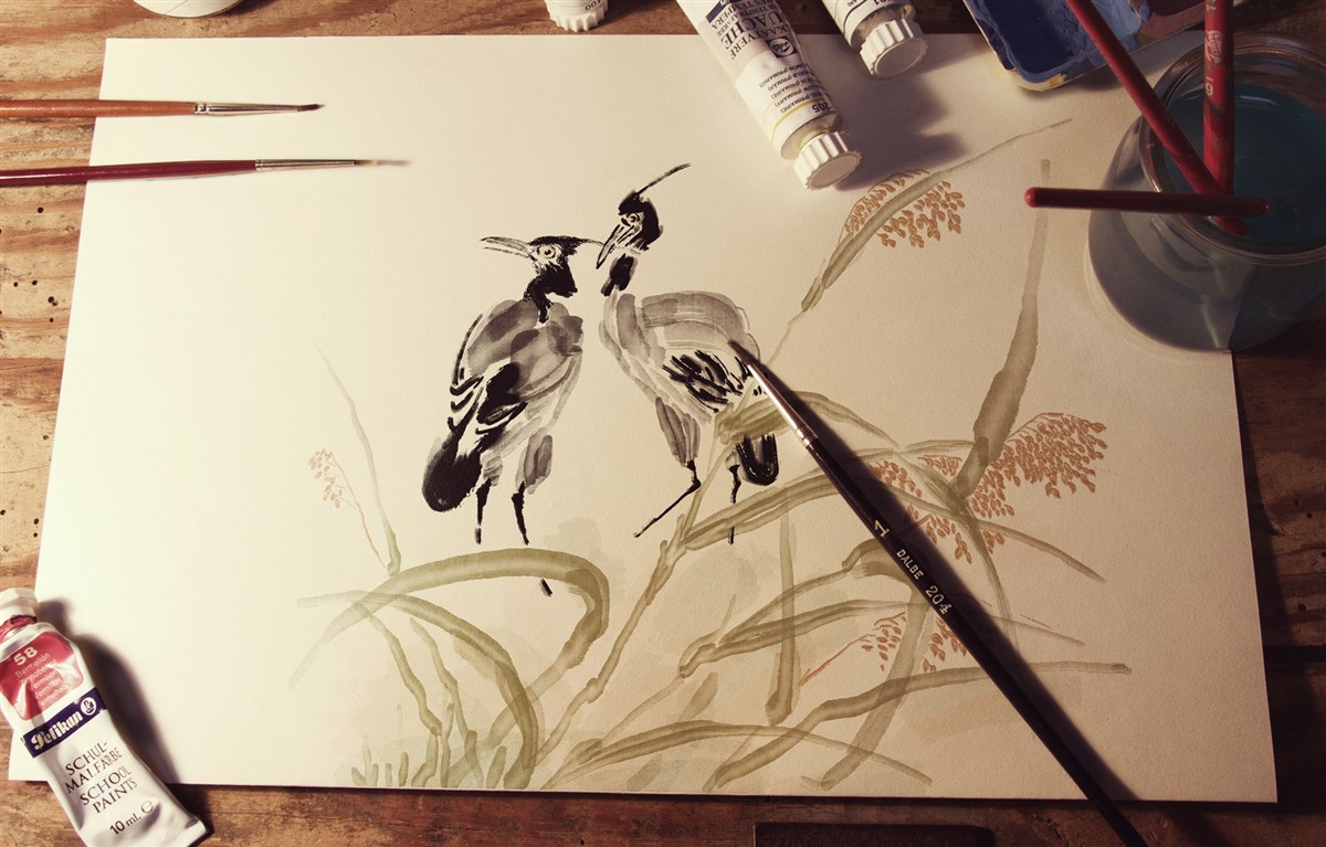 貢祿大米 | 品牌設(shè)計全過程