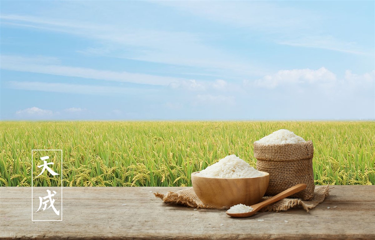 貢祿大米 | 品牌設(shè)計全過程