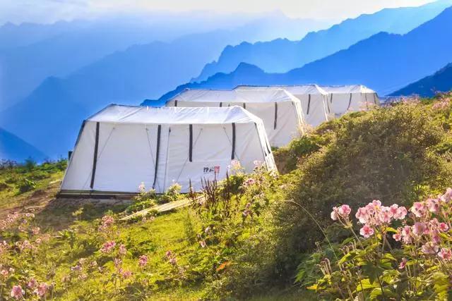 四川理縣浮云牧場