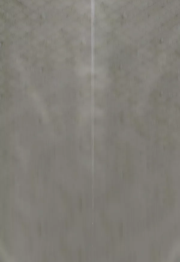 一九三一百雀羚，請開啟我的表演