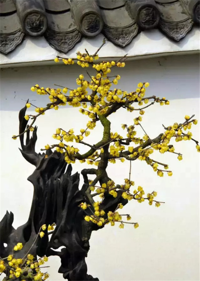 中國(guó)最美古建筑，古建筑攝影