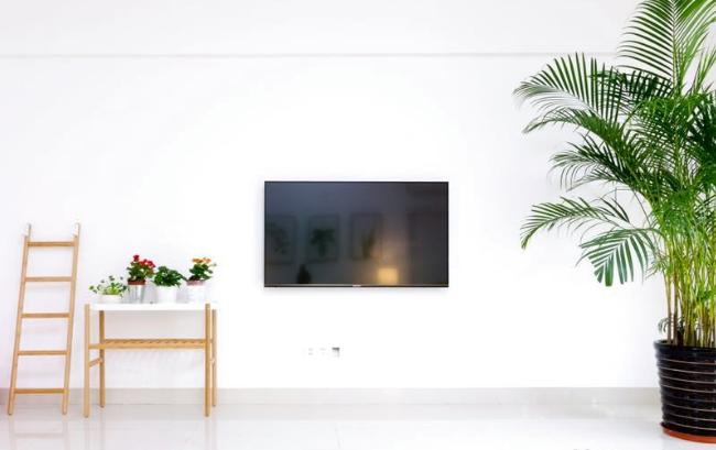 廈門初夏設計師民宿