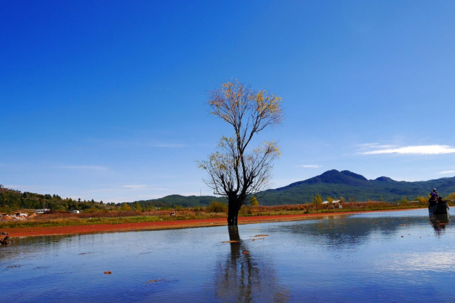 麗江國色天香精品民宿(觀云店）