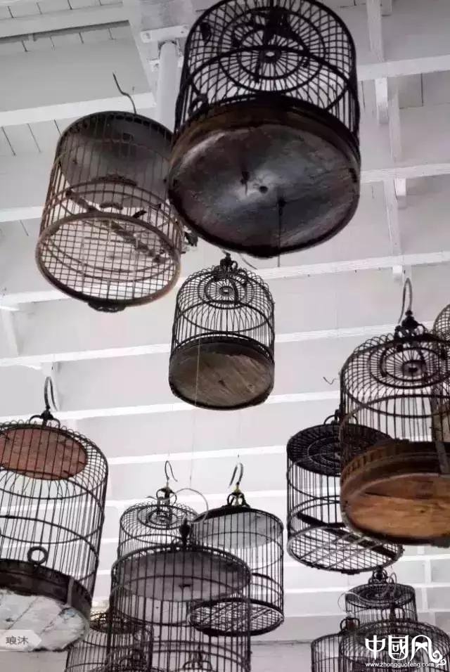 最美家佳樂文學鳥籠