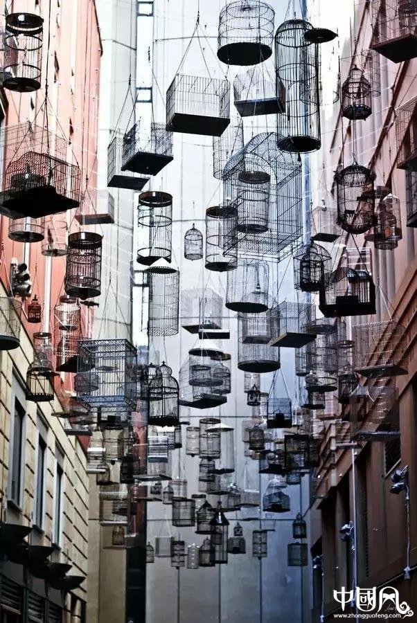 最美家佳樂文學鳥籠