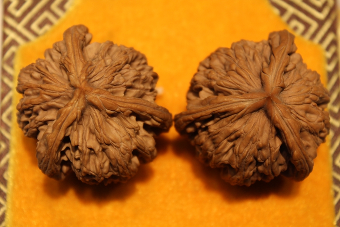 文玩核桃麥穗紋虎頭獅虎獸三棱（收藏級三道筋